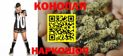 дмт Пенза