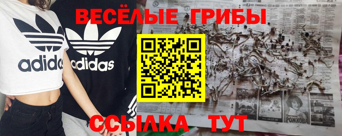 Троицк  дарнет шоп  Вход с VPN  Псилоцибиновые грибы мицелий 